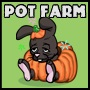 Dozy Pumpkin Dozy Pumpkin