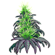 Crops/pf_icon_god_bud.png