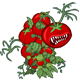 Crops/pf_icon_killer_tomato.png