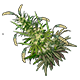 Crops/pf_icon_rice_weed.png