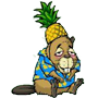 Buzzed Hawaiian Beaver